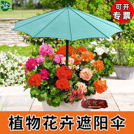 侧立伞户外遮阳 塑胶制品的应用与优势